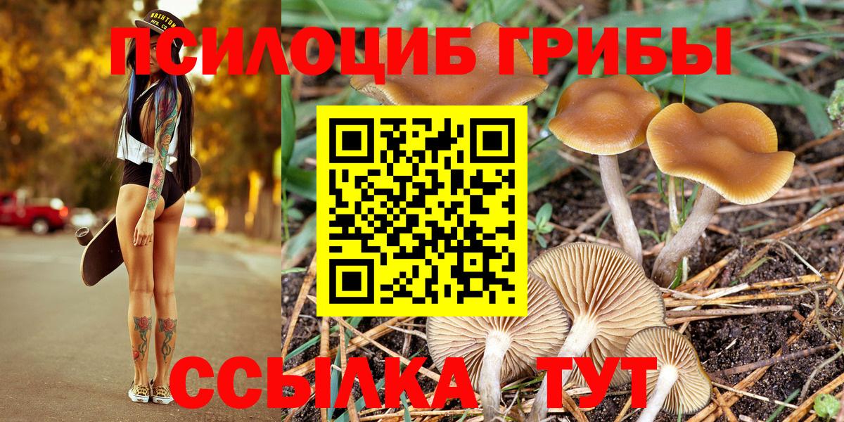 Галлюциногенные грибы мицелий  Галлюциногенные грибы MAGIC MUSHROOMS  Вход с VPN  где купить наркоту  Красноармейск 